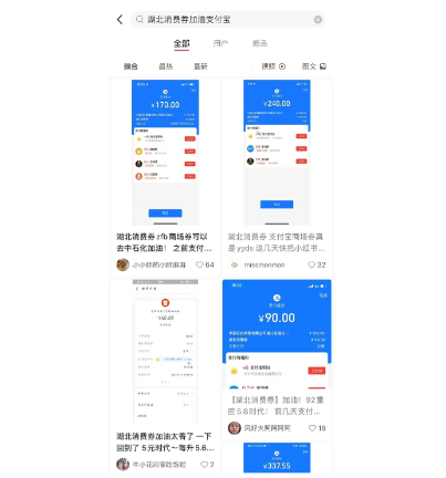 湖北商场消费券能不能加油