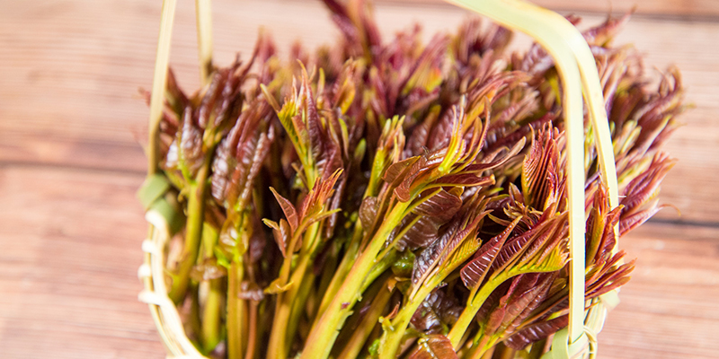 立春吃什么蔬菜萝卜还是白菜