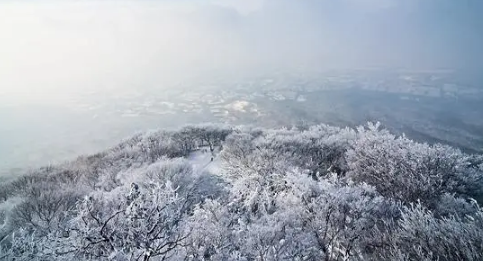 2024年元旦跨年去南京冷不冷元旦去南京穿什么合适(元旦南京会下雪吗)