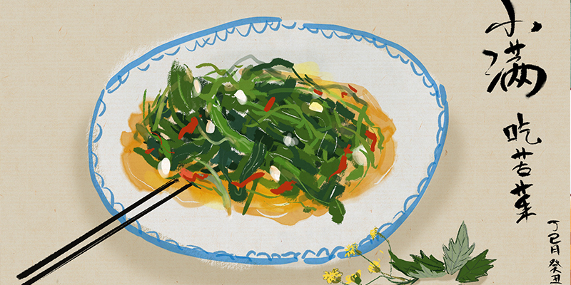 小满吃什么1、苦菜(小满节气吃的苦菜有哪些)