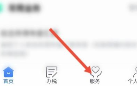 个人所得税查询验证码怎么填