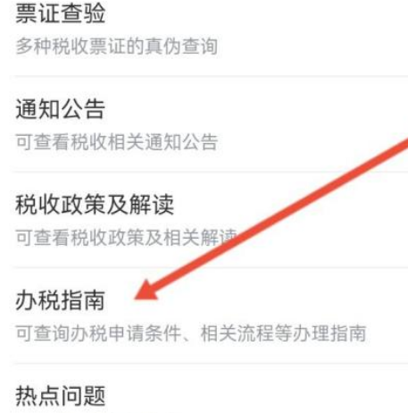 个人所得税查询验证码怎么填