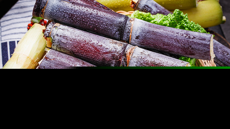 大雪吃什么1、羊肉(大雪吃啥)