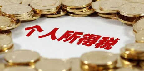 个人所得税查询验证码怎么填