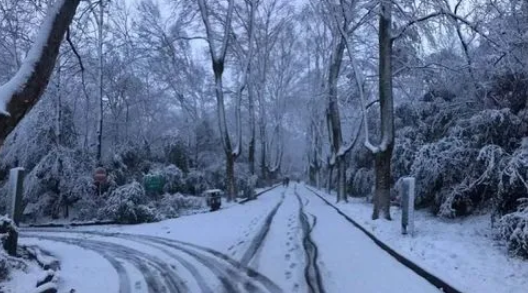 南京今年过年天气