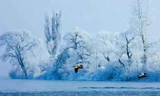 吉林市雾凇几月份开始