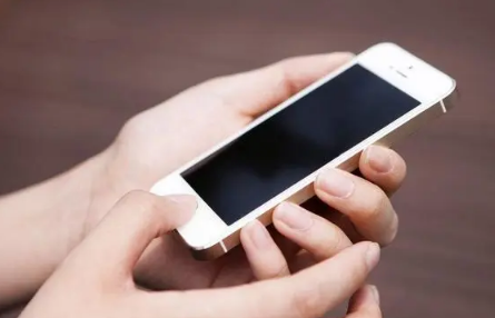 春节有哪些活动