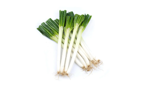 章丘大葱好在哪