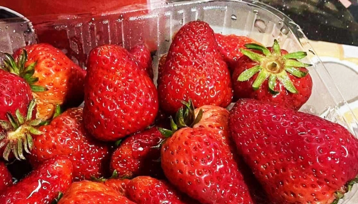 草莓能放冰箱里面保鲜吗