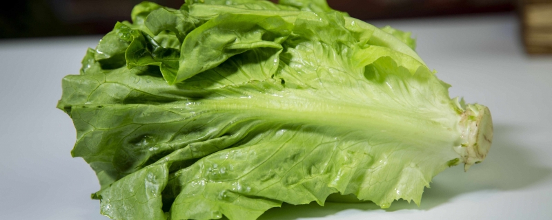 生菜怎么做好吃又简单生菜烫一下吃还是生吃好(生菜怎样烫才保持绿?)