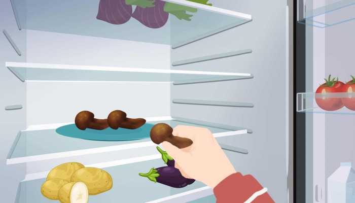 保鲜膜的功能用途