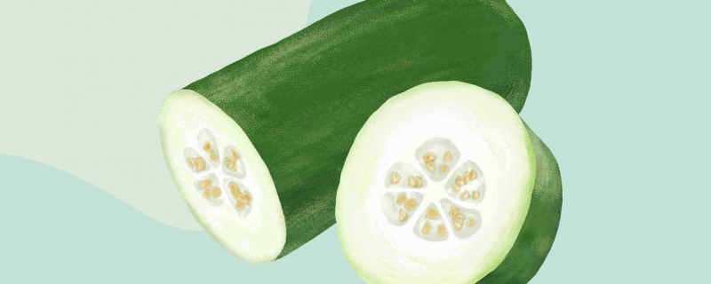 冬瓜属于凉性还是热性冬瓜属于什么植物(冬瓜是寒性还是热性的)