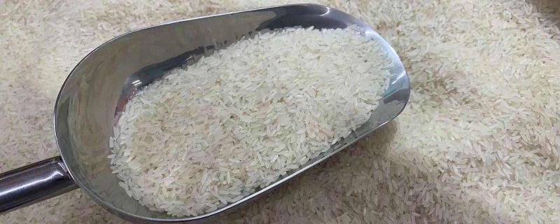 真空大米能存放三年吗大米最多可以放几年(真空大米能存放50年吗)