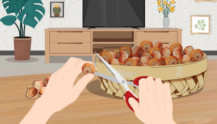 煮栗子得煮多长时间能煮熟啊