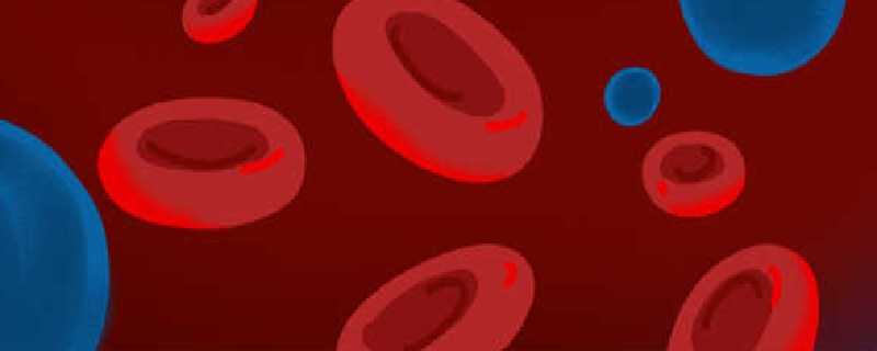 o型血为什么叫熊猫血为什么说O型血是熊猫血(o型血为什么不能给熊猫血输血)