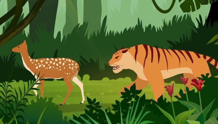 五禽戏有哪五禽