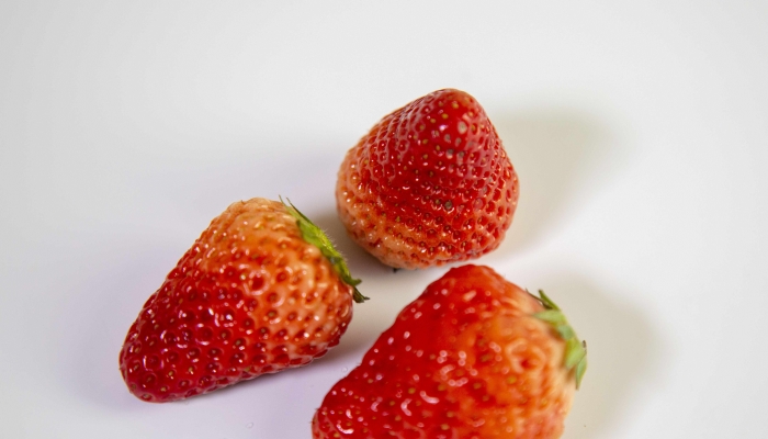 草莓适合冷藏吗