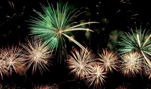 南阳市禁止燃放烟花爆竹公告