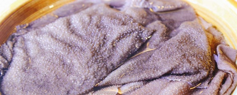 毛肚是什么动物身上的毛肚和百叶的区别(毛肚好吃还是百叶好吃)