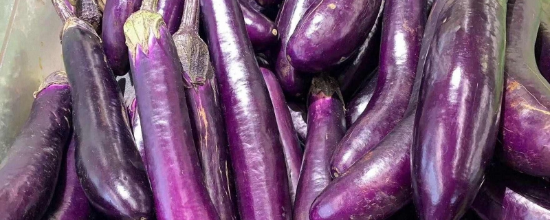 为了健康别再吃反季节蔬菜了(反季节蔬菜对人体有害吗)