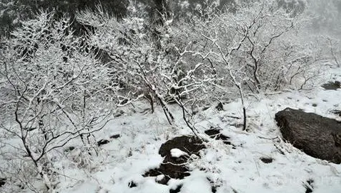 2024年元旦去威海好玩吗威海元旦人多吗(元旦威海到哪里玩)