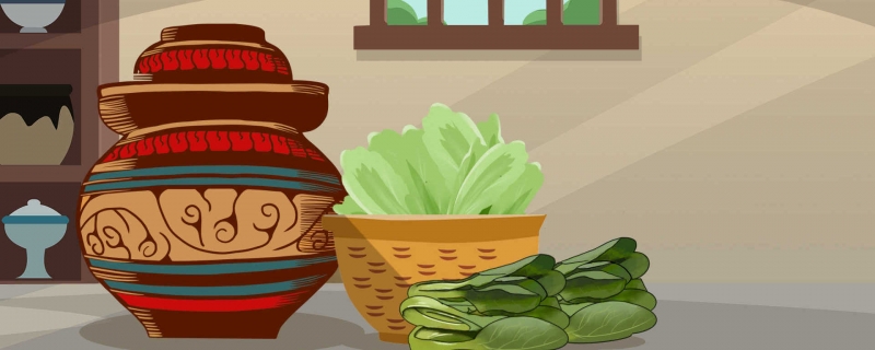 泡菜的腌制方法和配料常见泡菜品种(泡菜的腌制方法和配料菜的做法)