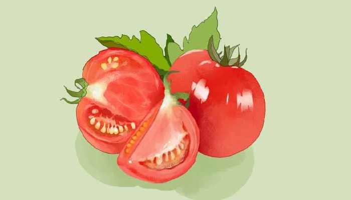 西红柿是什么时候传入中国的