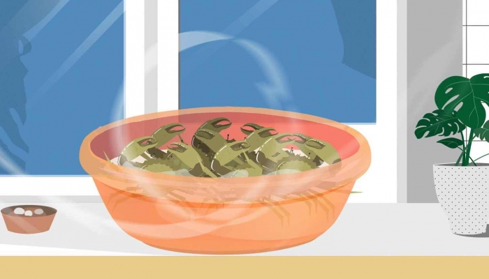 螃蟹膏白色是没熟吗