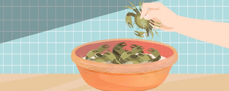 螃蟹白色的膏体能吃吗蟹膏的营养价值(螃蟹膏白色是没熟吗)