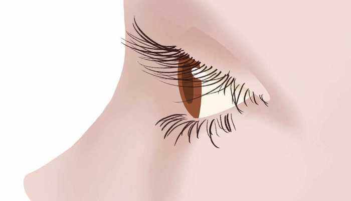 为啥眼睛“不怕冷”