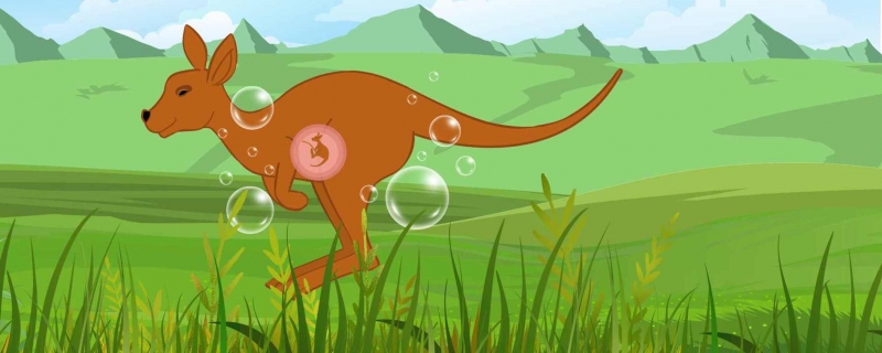 袋鼠为什么跳着走袋鼠的尾巴有哪些作用(袋鼠为什么蹦着走)