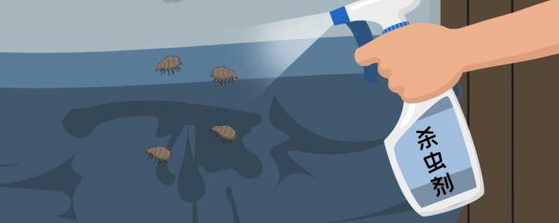 诱虫板的杀虫原理是什么诱虫板为什么可以杀虫(诱虫板价格)