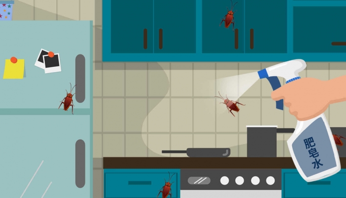 蟑螂讨厌酒精的味道吗