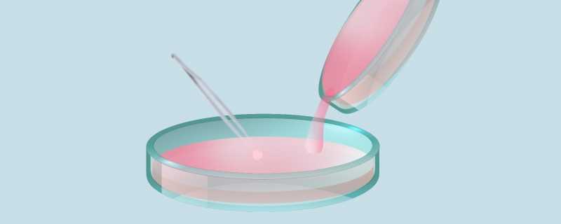 转基因和非转基因的区别转基因和非转基因的利与弊(转基因和非转基因有啥区别)