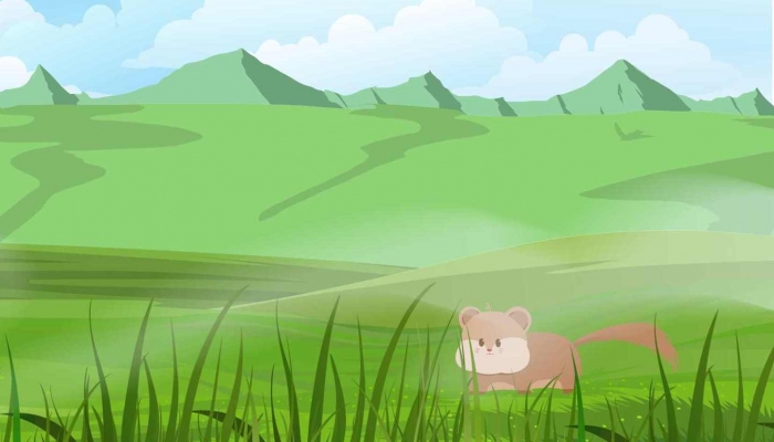 如何确定仓鼠吃饱了