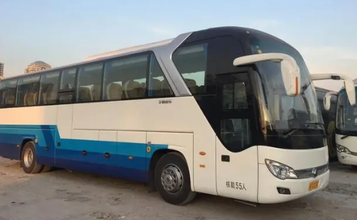 2024年中考志愿填报技巧与注意事项