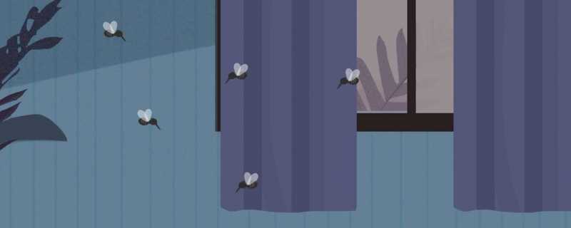 冬天蚊子都到哪去了冬天蚊子哪来的(冬天蚊子去哪儿了?)