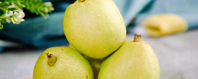 冻梨怎么解冻冻梨解冻用热水还是冷水(冻梨用冷水解冻原理)