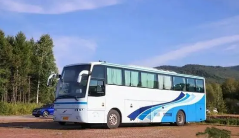 2020春节大巴车停运吗