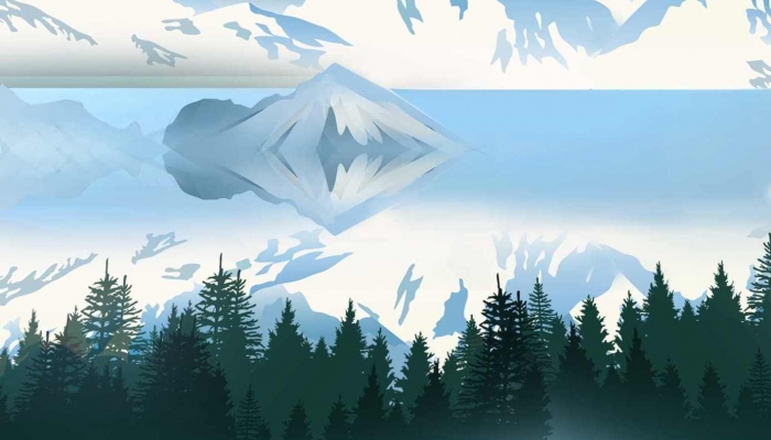 松树为何四季常青