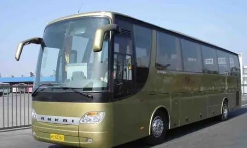 2024年中考志愿填报技巧与注意事项