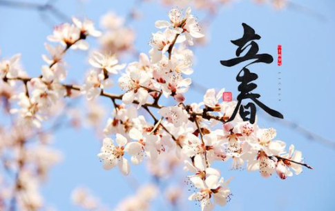 2024年立春是农历哪一天