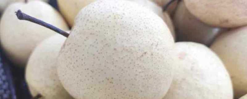 冻梨怎么冻才能黑冻梨怎么冻黑的快(怎样把梨冻黑)