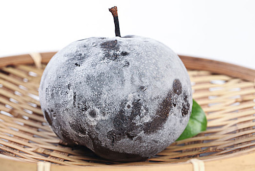 冻梨是一个品种吗