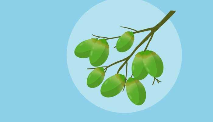 fta是什么产地证