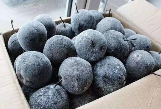 冻梨一次冻多久