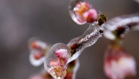 2021年四月份有没有倒春寒