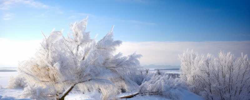 为什么下雪后要在路上撒盐下雪后在路上撒盐的原因是什么(下雪后马路上撒盐是为了什么)