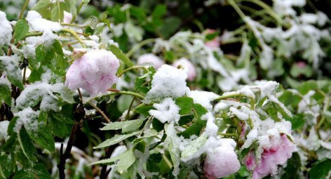 2021年四月份有没有倒春寒