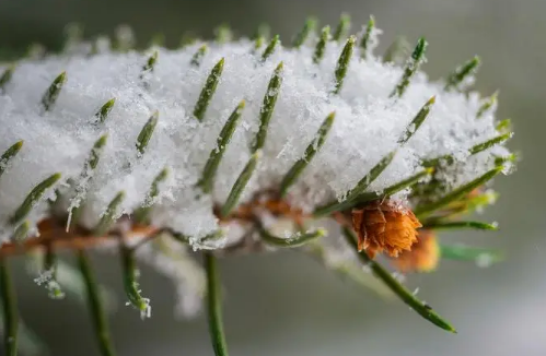 2024年3月份有倒春寒吗倒春寒是什么时候(2021年四月份有没有倒春寒)